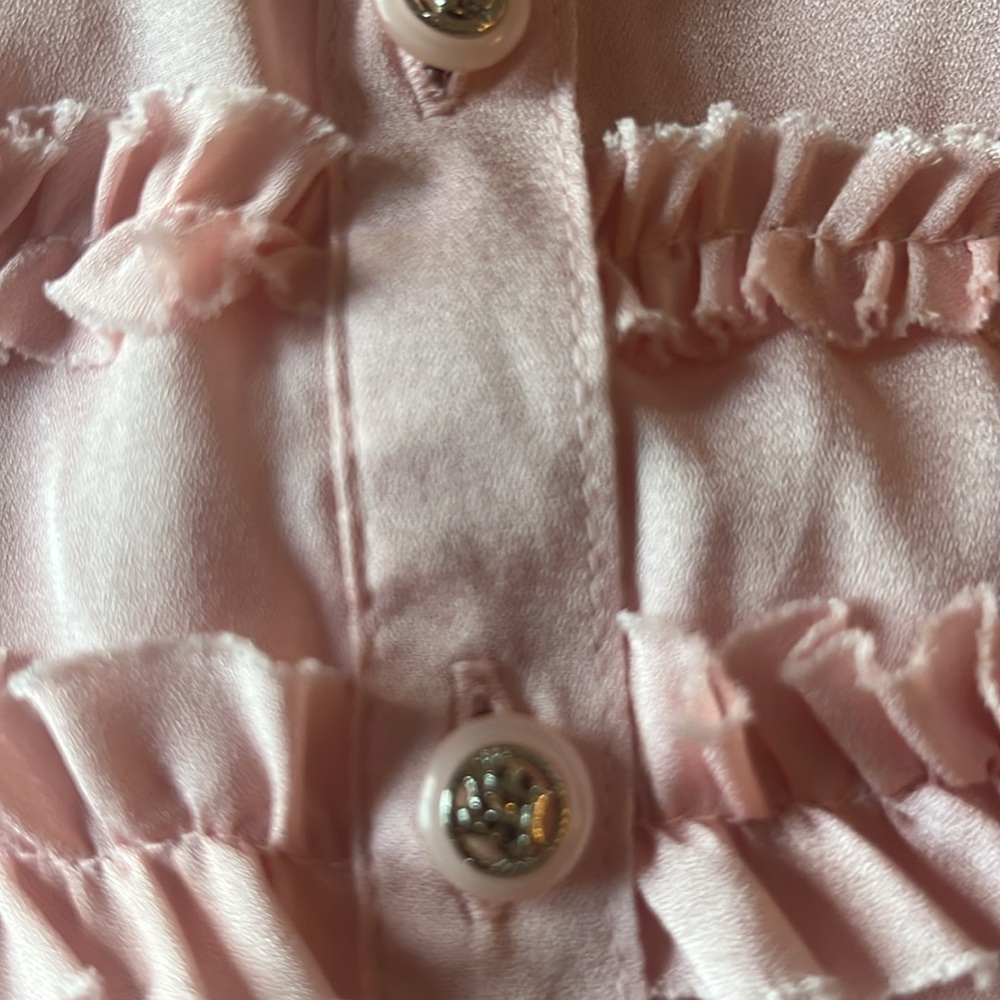 Velvet & Claire sheer blouse tiny ruffles coquette pink small - Picture 5 of 9